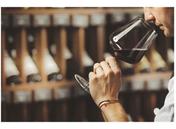 Sign Up for an Account