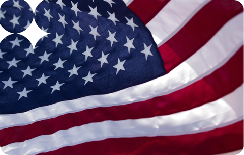 The potential impact of US Election 2024 on FX markets