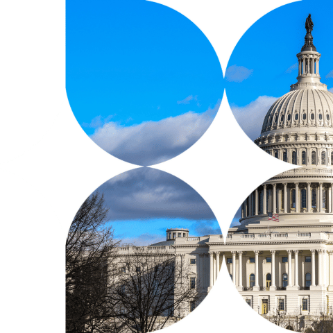 What can the markets expect from the US Election?