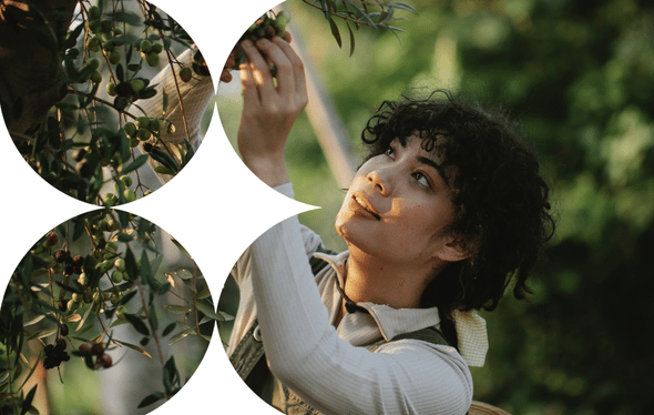 Global payment solutions for business