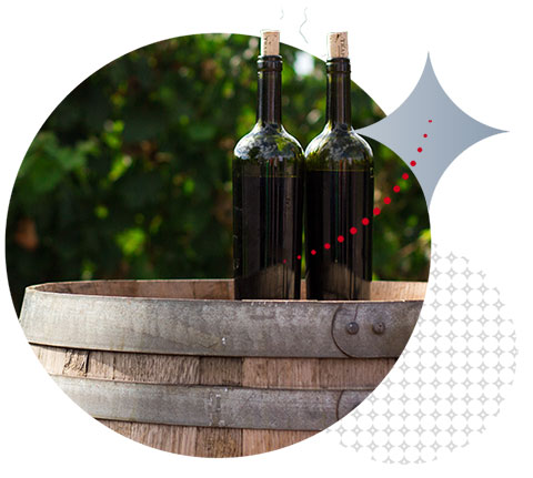 Foreign currency & money exchange for wine importers