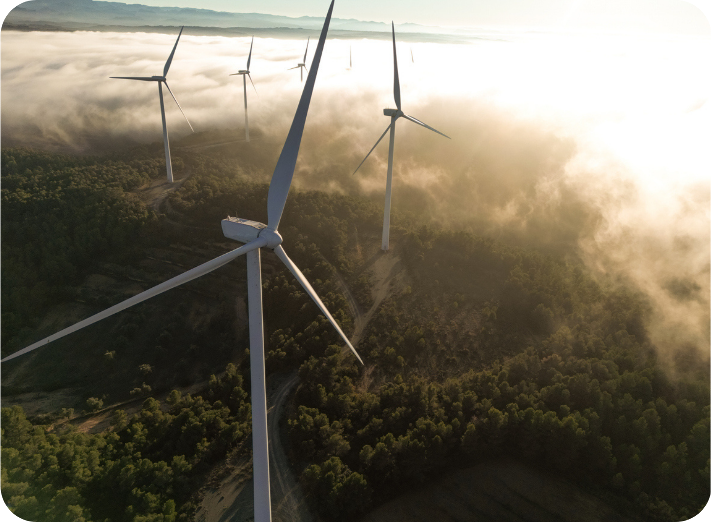 Read our FX budget rates guide