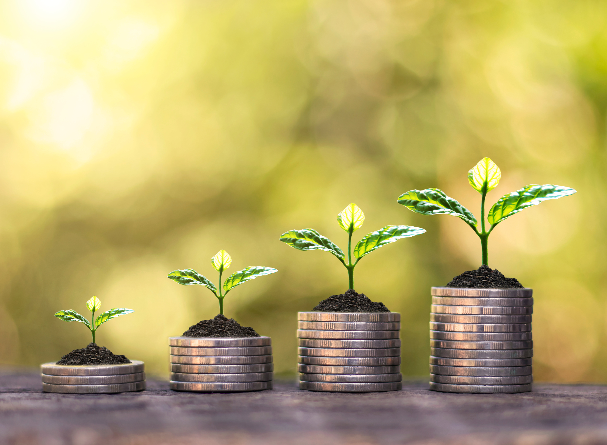 Why trade exotic currencies?