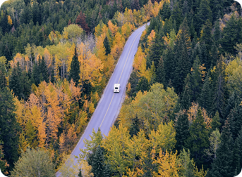 Payment diversion scams