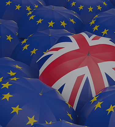 Post-Brexit business 6 months on