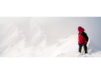 Our foreign exchange solutions for your business