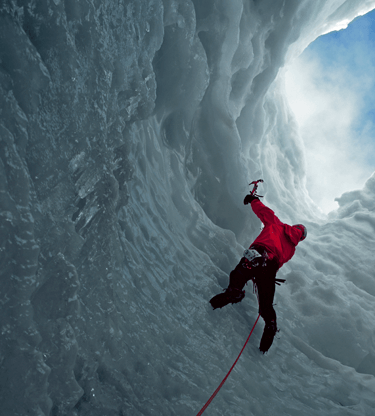 Assessing currency risk for your business